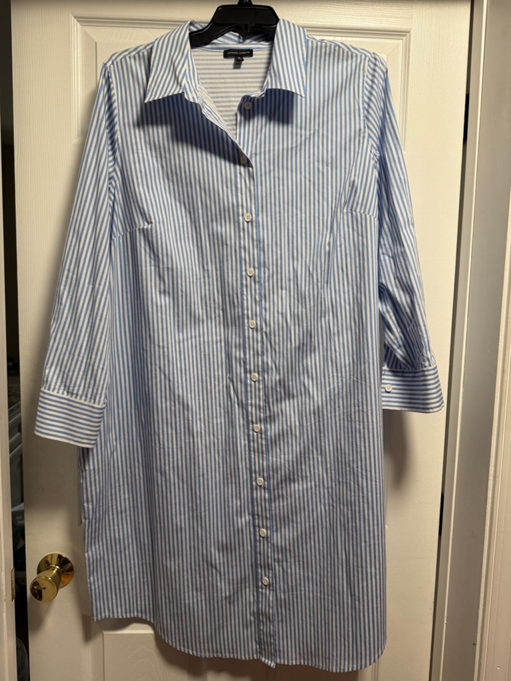 Universal Standard Light Blue and White Striped Button-Down Shirt Dress